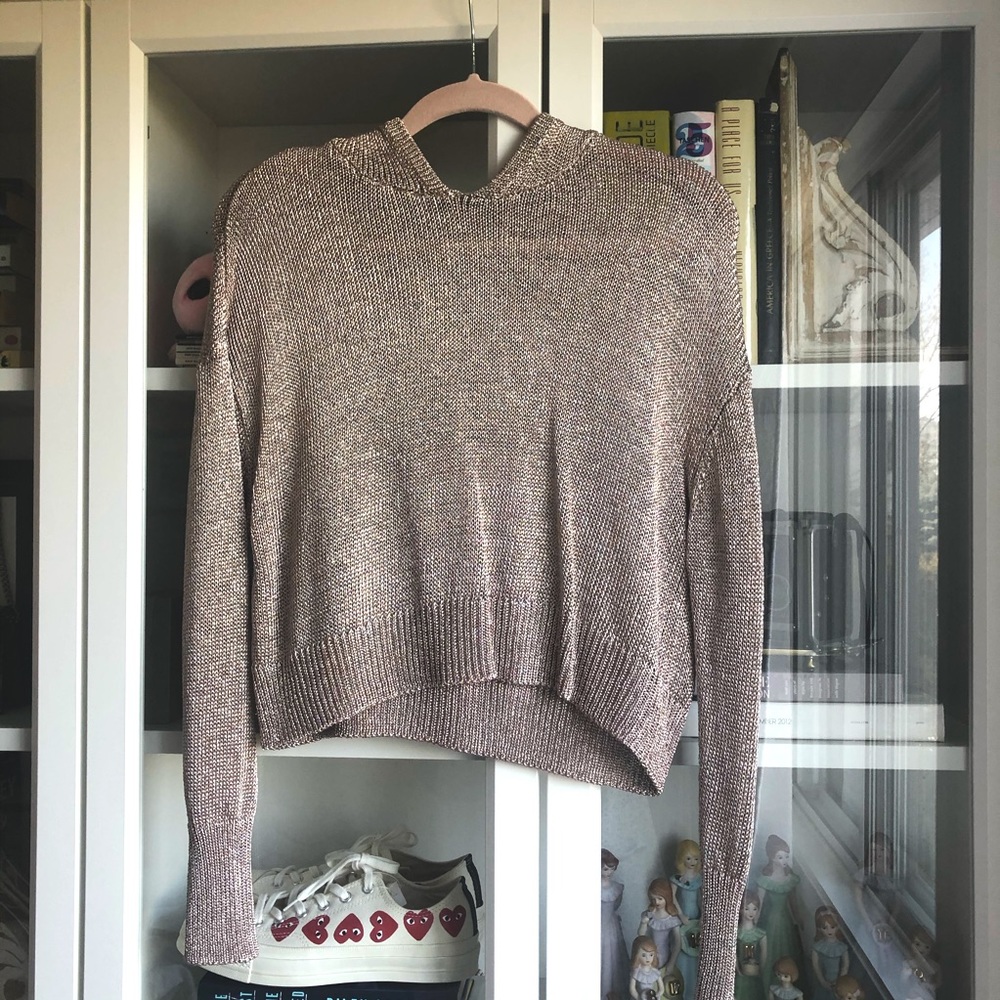 NWOT Rosé Metallic Hoodie